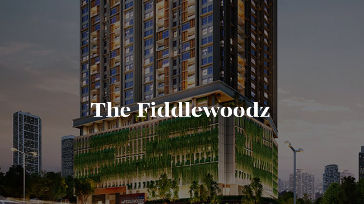 THE FIDDLEWOODZ